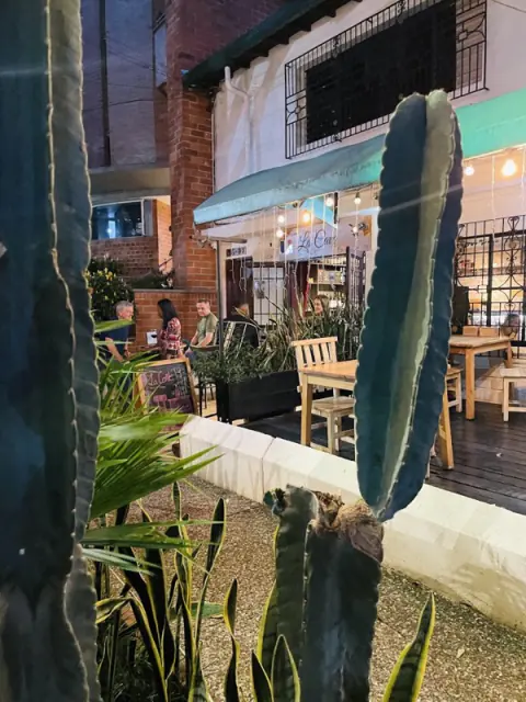 Terraza de La Cave de noche, con plantas y cactus