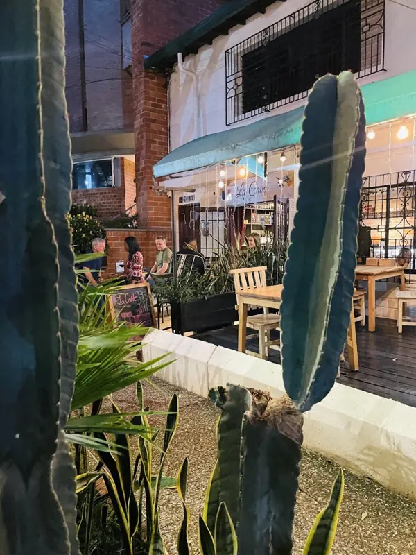 Terraza de La Cave de noche, con plantas y luces